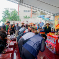 SNY09530