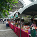 DSC08525