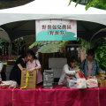 DSC08523