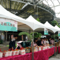 DSC08527