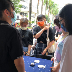 四寵一甲