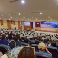 DSC 2003